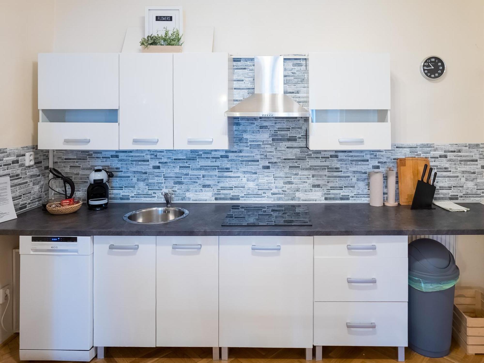 Luxury Vincents Apartments 科希策 外观 照片